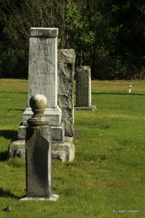 Many gravestones