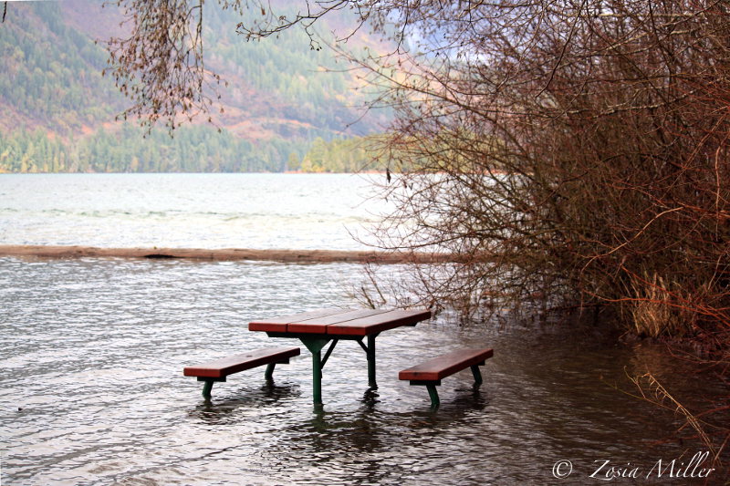 Picnic Table at Lily Beach Park