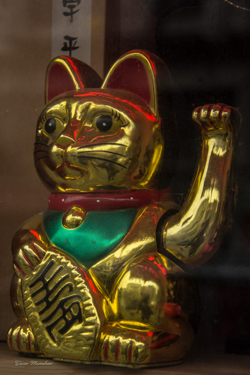 Lucky Cat