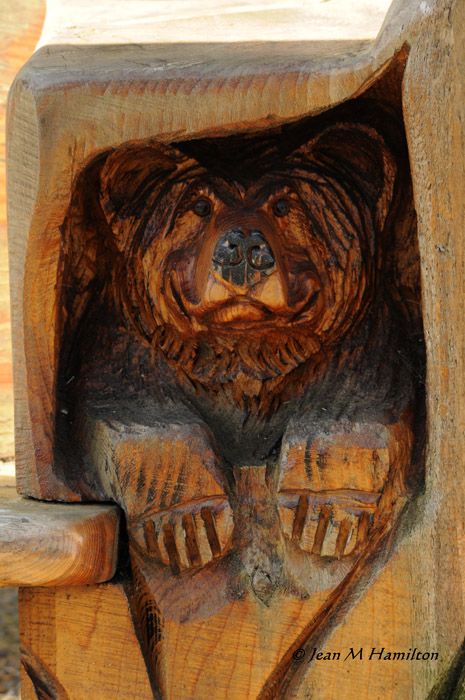 JMH - Item 3 - Bear Cub in Cave 