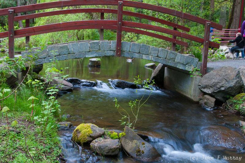 Bridge over Silky Water