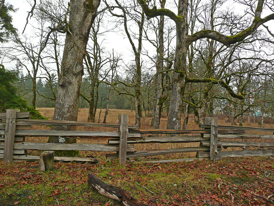 Garry and the Fence