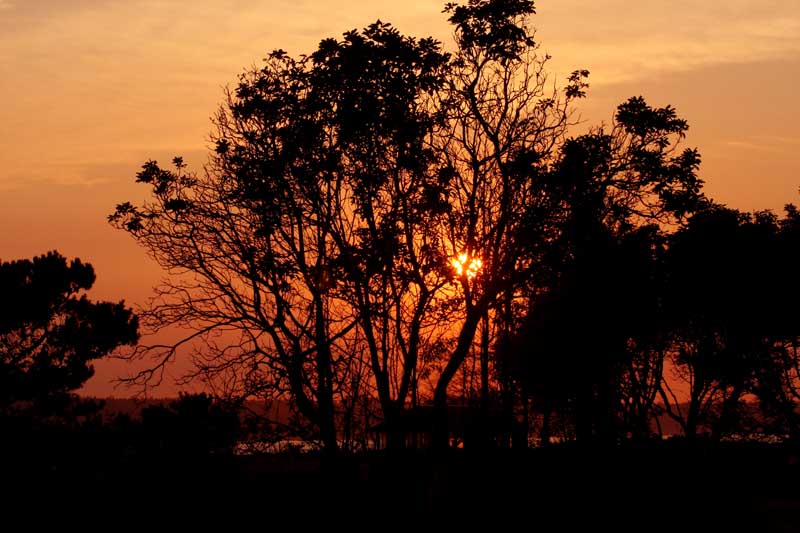 Red Sky at Night