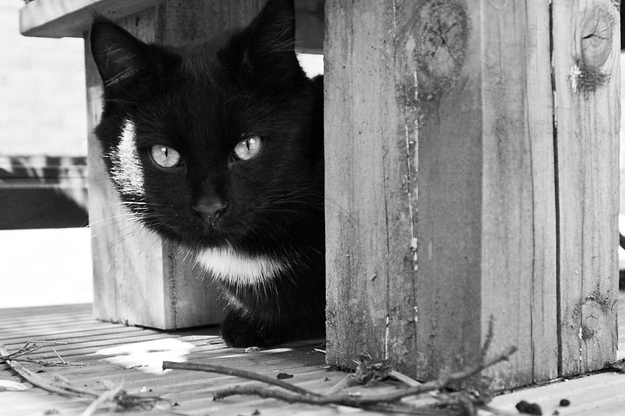 Peering