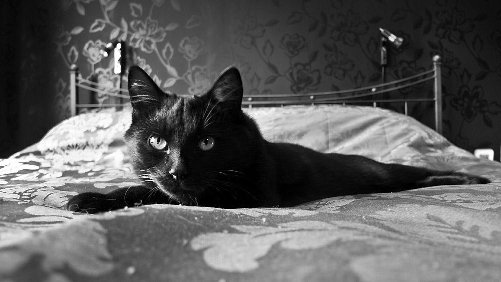 My bed !