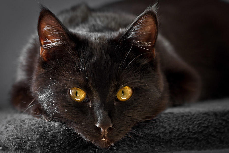 Looking at me