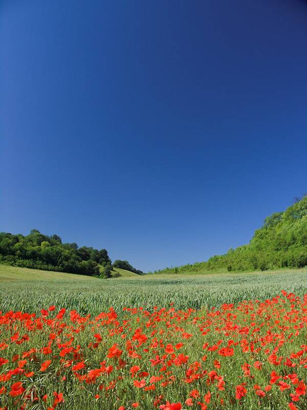 Big sky