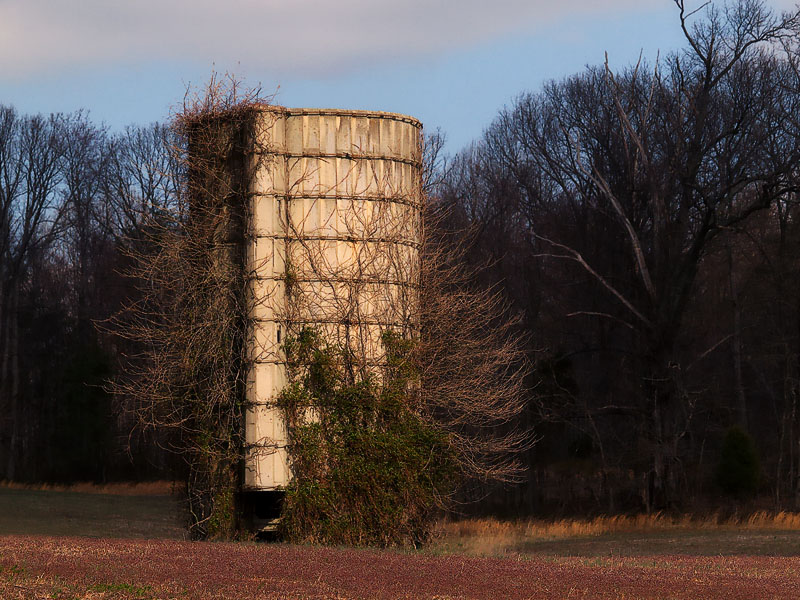 wBoyds Silo1.jpg