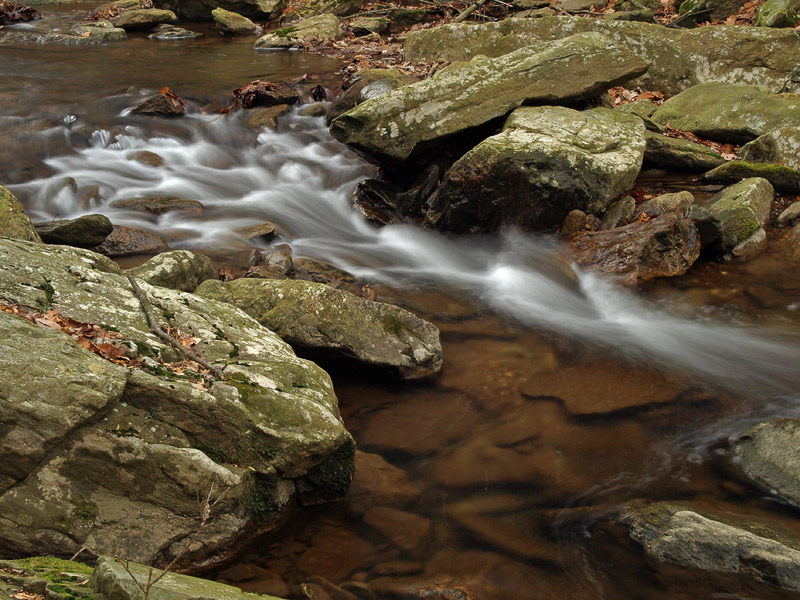 wHunting Creek11 1-13-08 P1138420.jpg