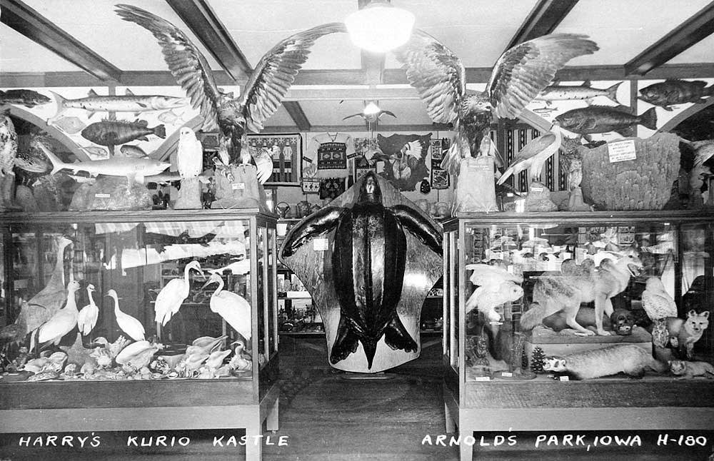 Kurio Kastle Interior