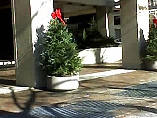 12_09_05_1208
