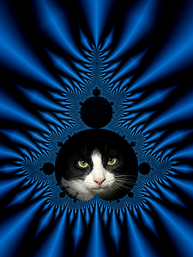 Ph1361.jpg  - a fralcat image :-)