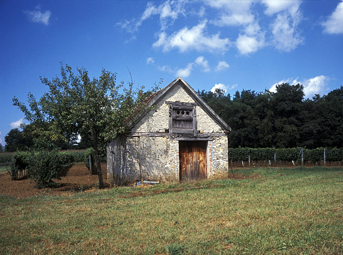 Sc0825.jpg