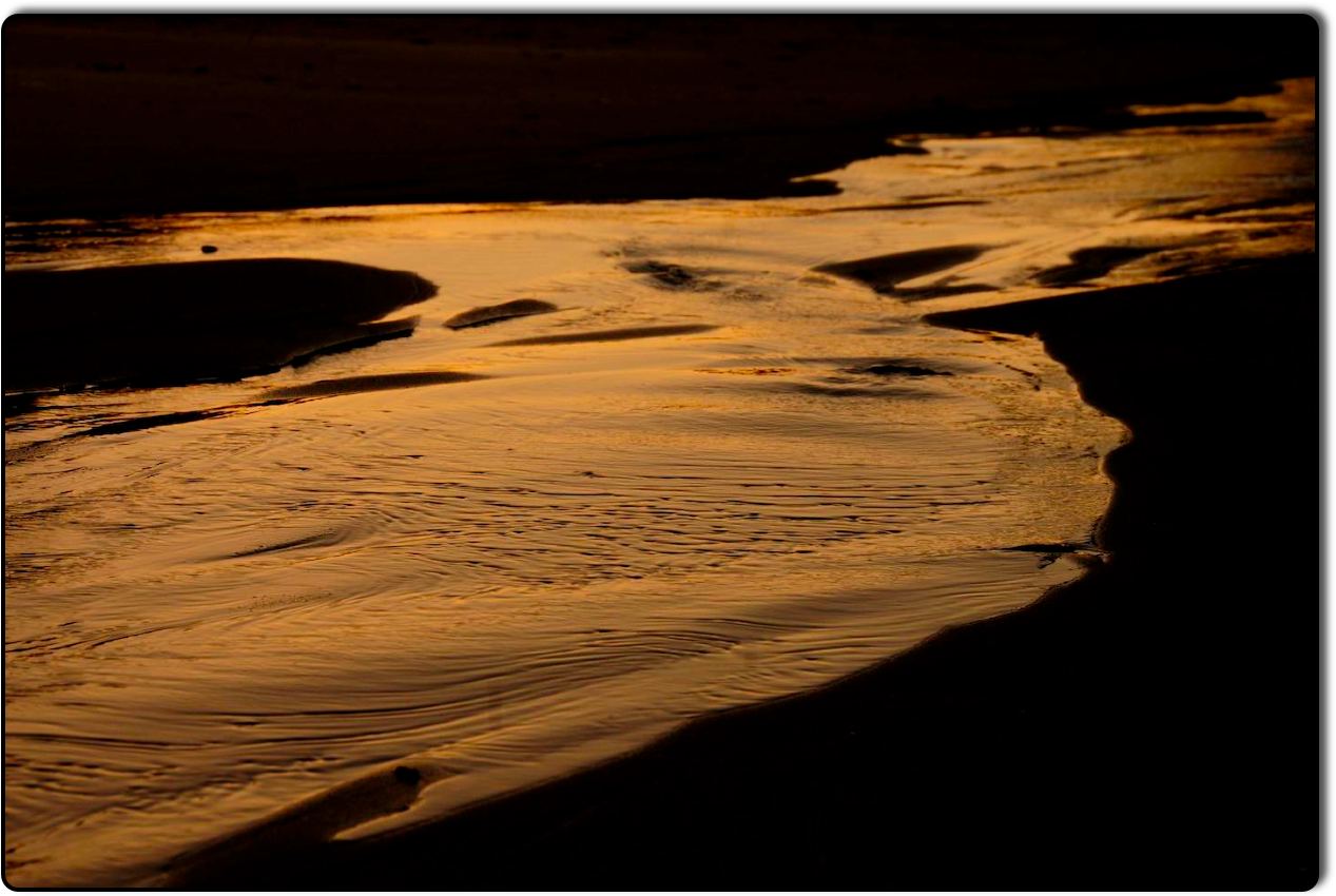 Beach Reflection