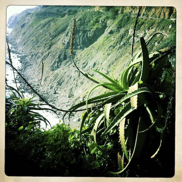 The View from Ragged Point, Big Sur