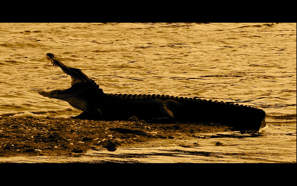 Big Daddy - Huntington State Park
