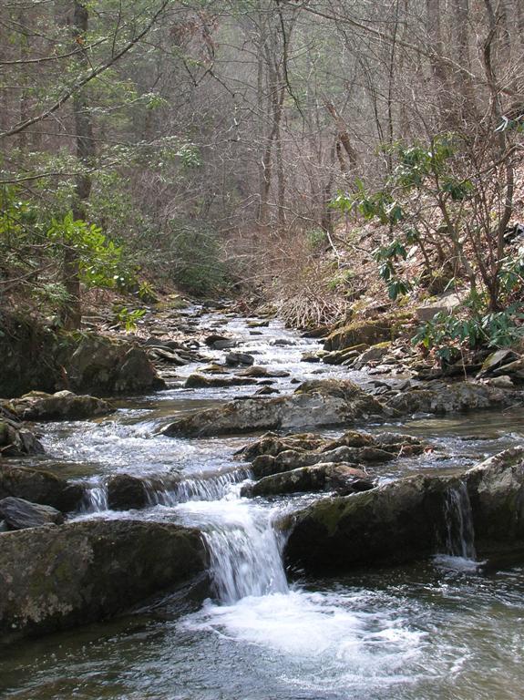 Trailside Stream