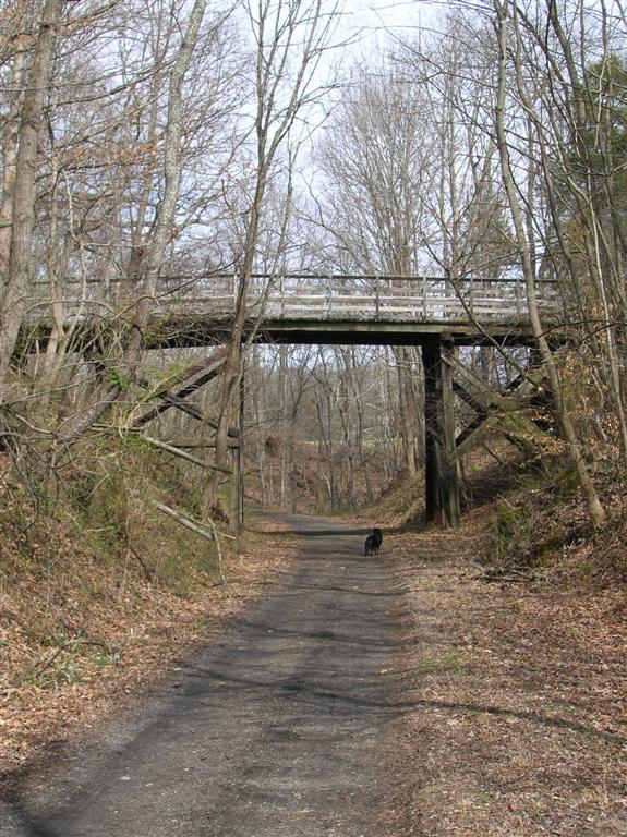 Along the Trail