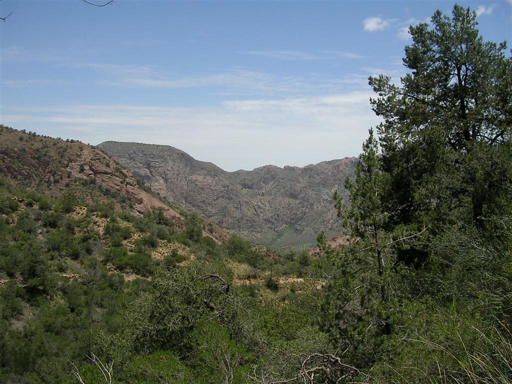 Laguna Meadows Trail