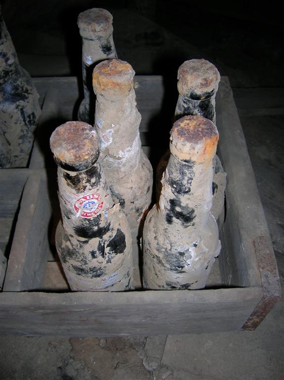 Beer Bottles - Encased in 77 Flood Mud