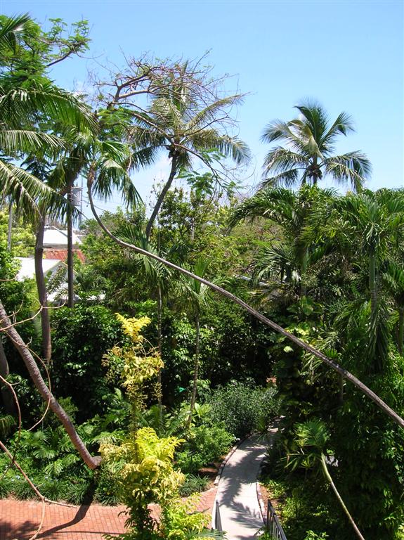 Hemingway's View