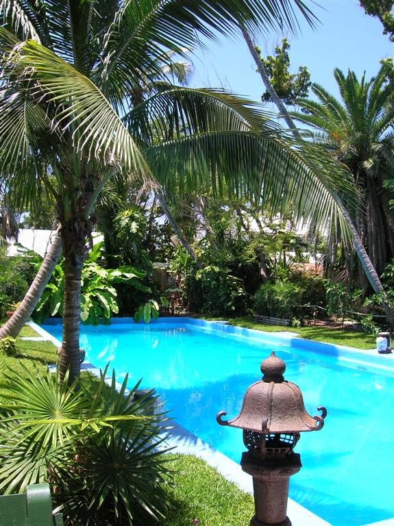 Hemingway's Pool