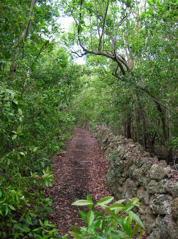 Trails at Dagny Johnson Preserve