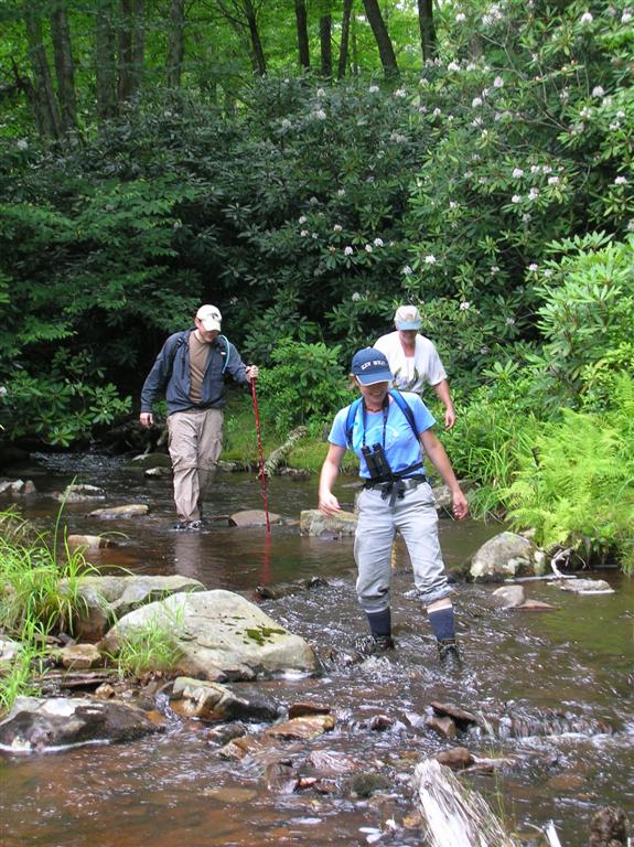 Hiking the Stream