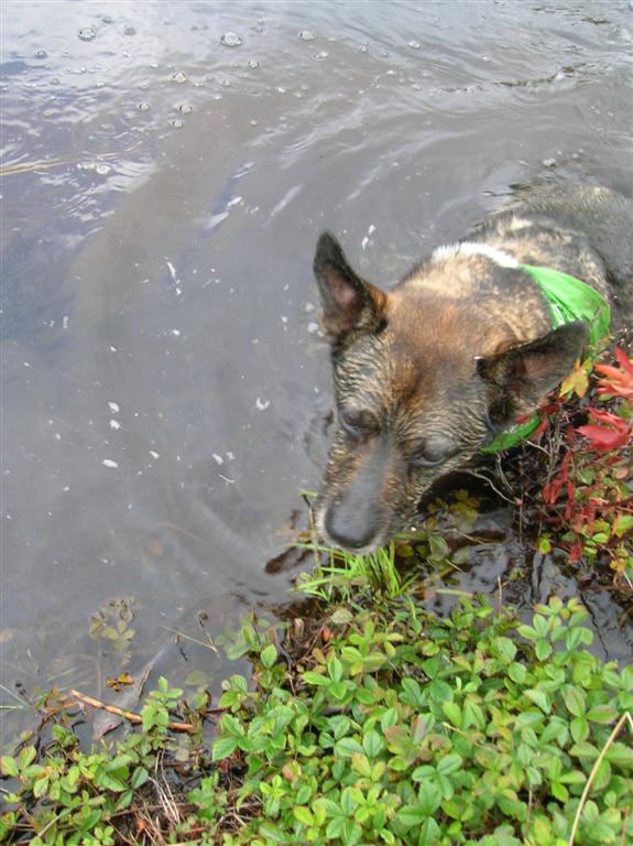 Cori Cools Off