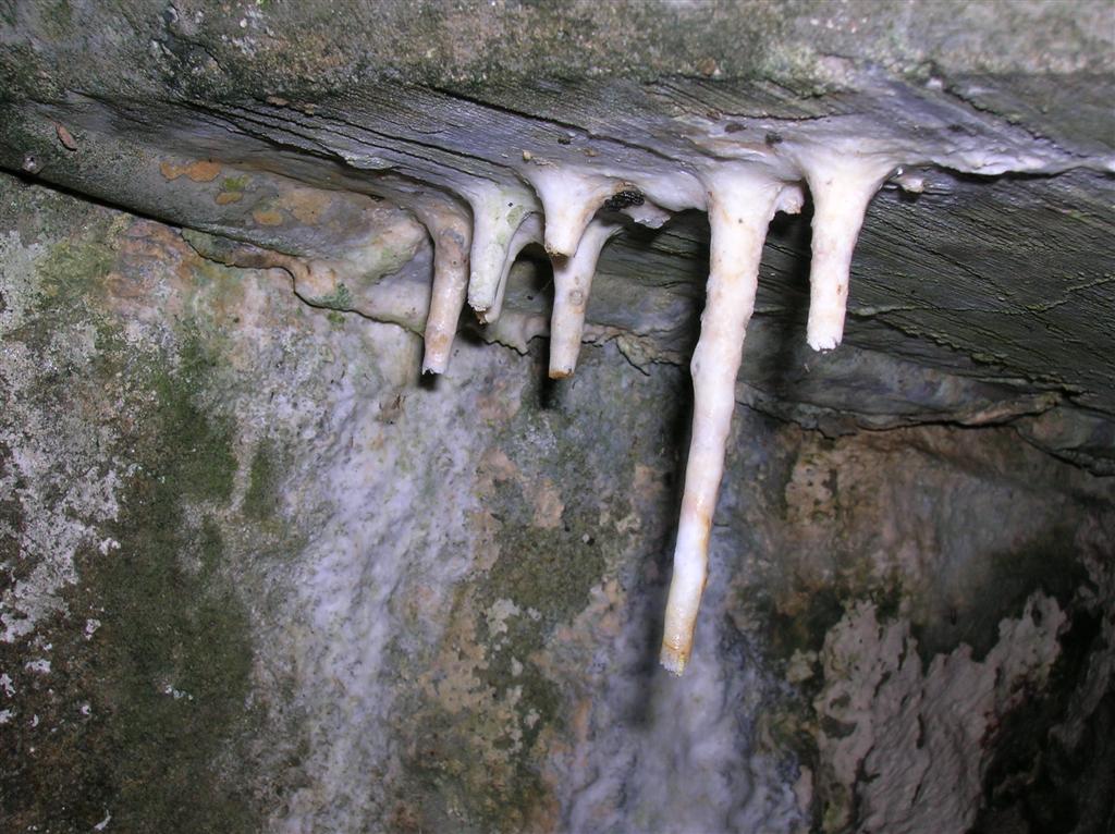 Stalactites from Cement