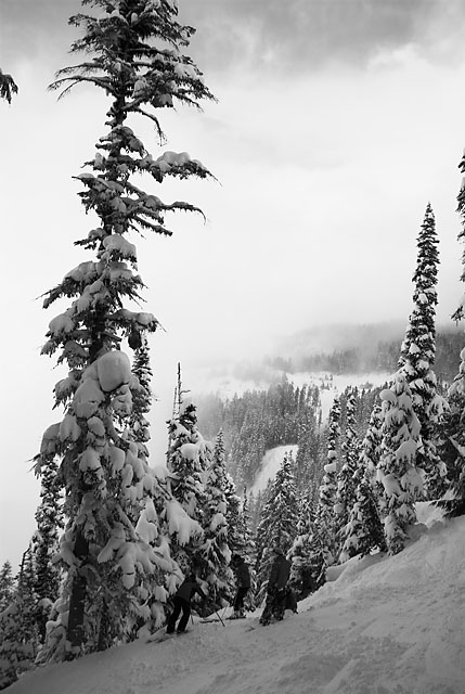 AL0_1114-01.jpg