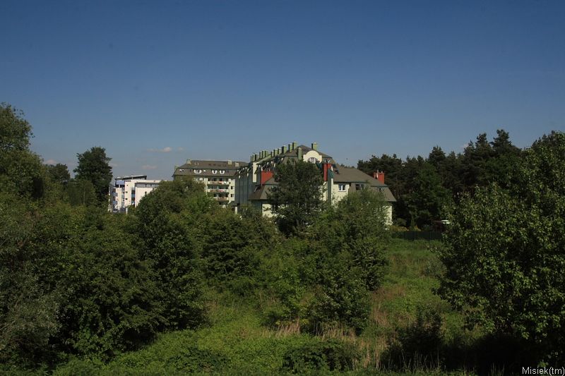 IMG_16575.JPG