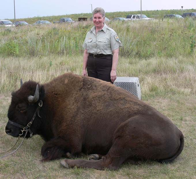 Prairie Day  107.jpg