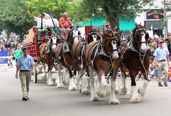 State Fair 162.jpg