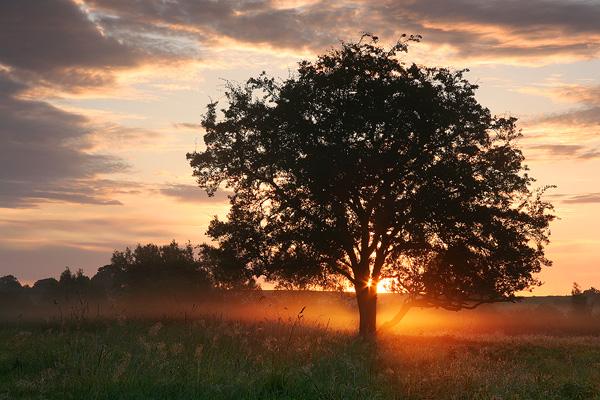 Early Morning Mist, Minster Lovell