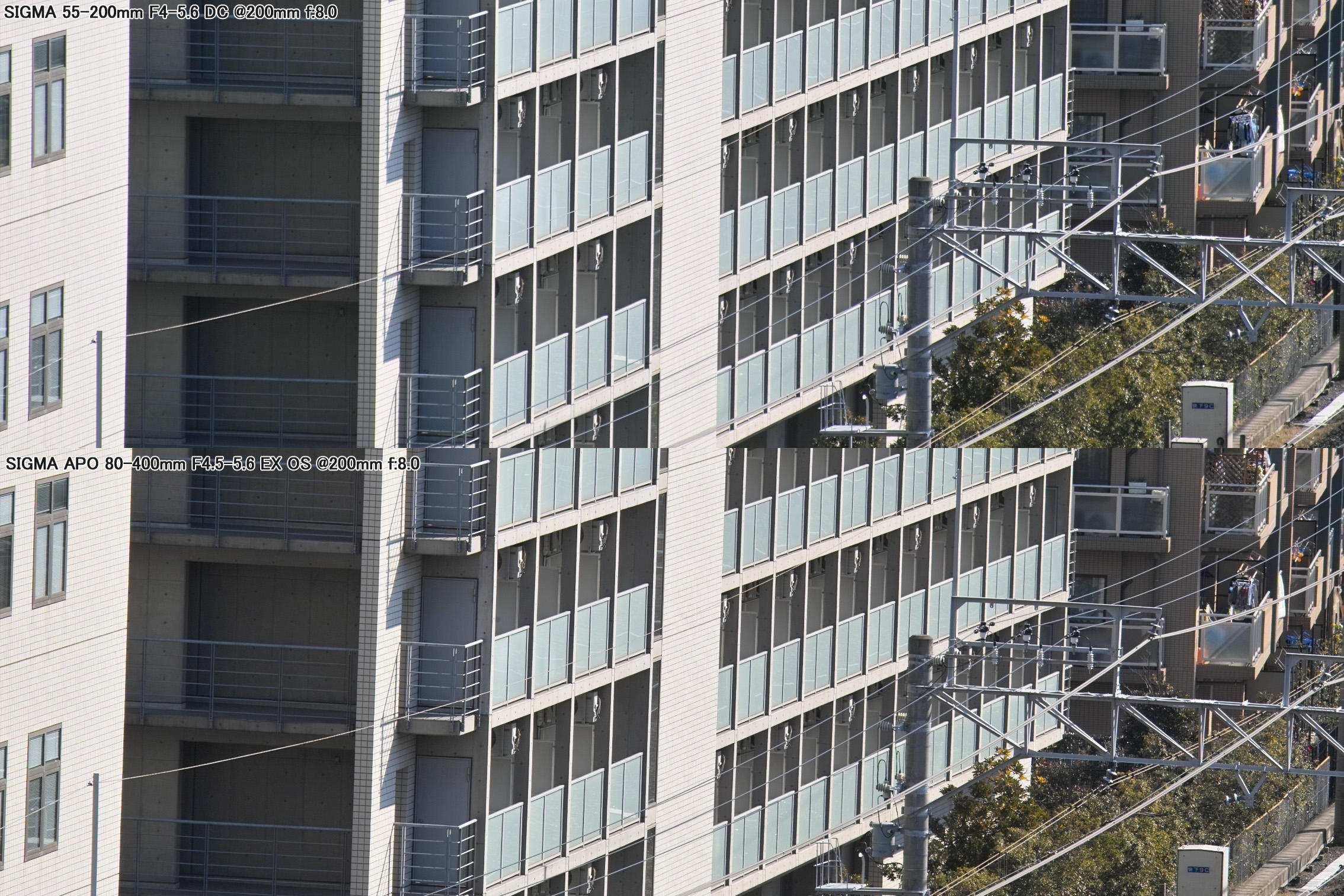 55-200 DC vs 80-400 OS @200mm f/8