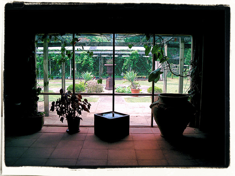 The Garden