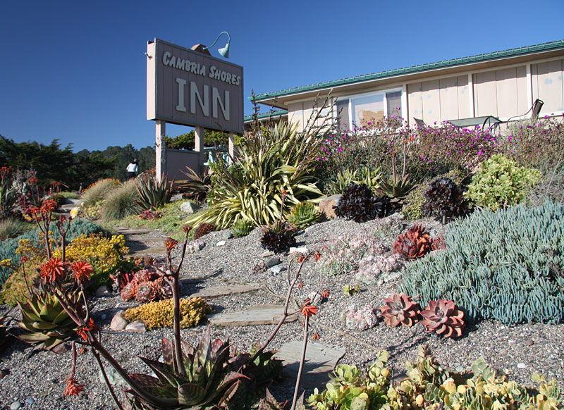 Moonstone Beach, Cambria