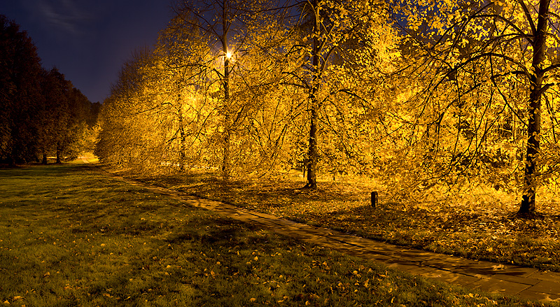 Golden Path