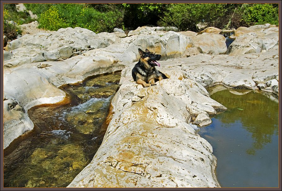 At Eyn Tamir (Nachal kziv)