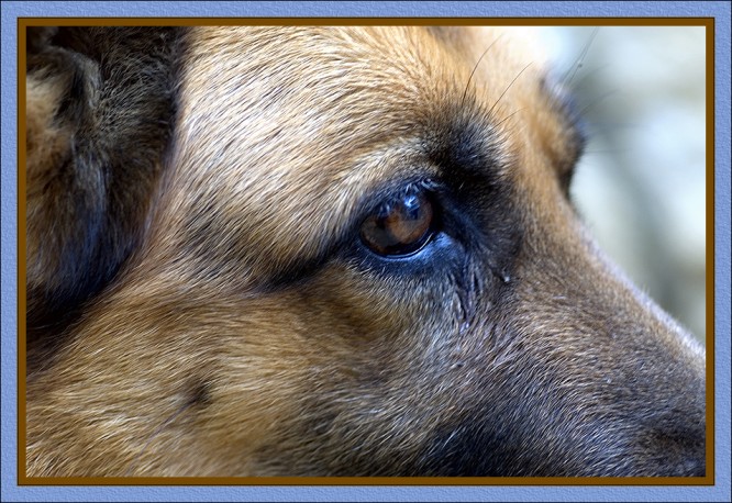 In memory of my friend - Luki