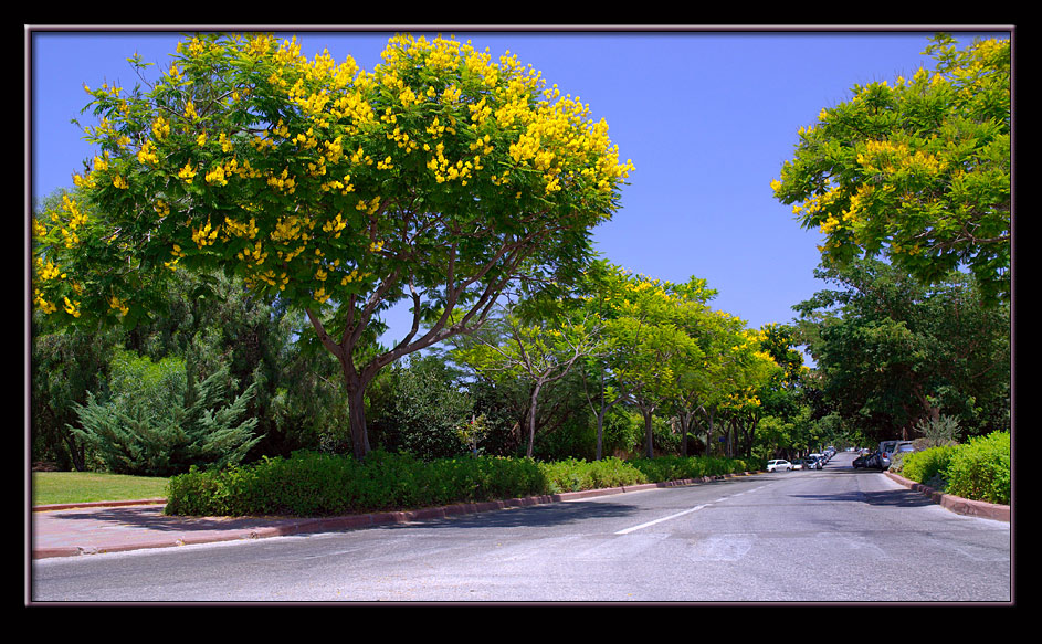 One colorful street