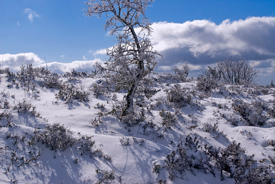 Last years snow