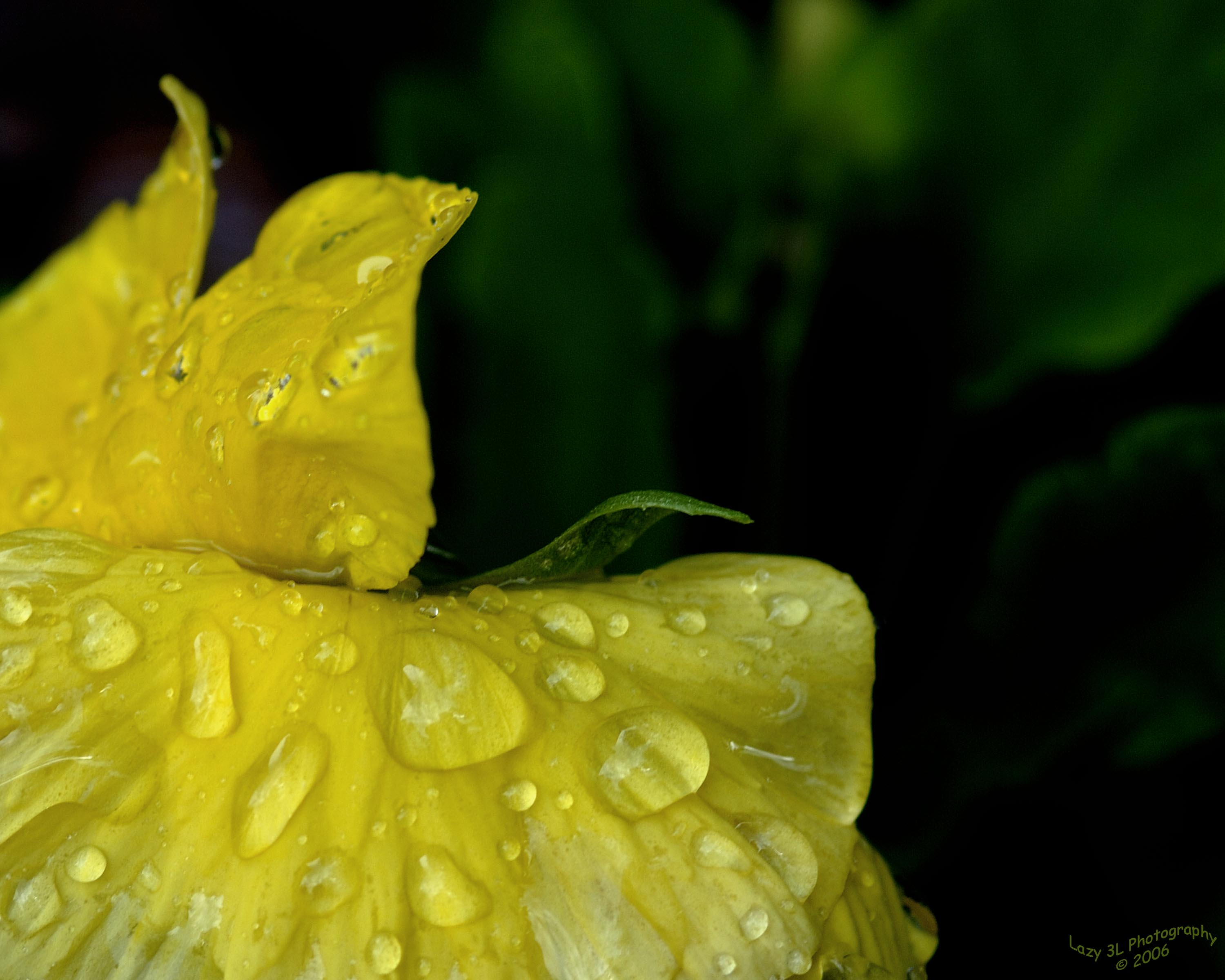Rain, rain, here to stay....
