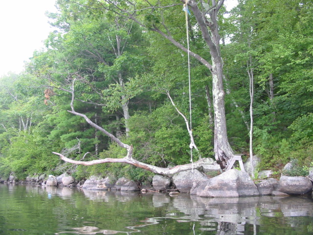 The Rope Swing at Manning