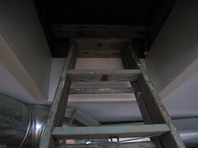IMG_4413.JPG
