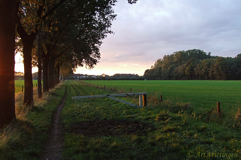 Enschede (NL)