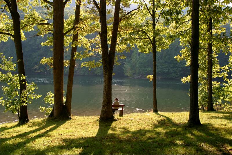Our neighborhood  and nearby State Park, western PA