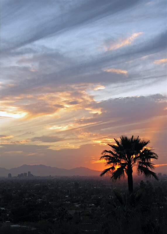 Phoenix Overview #2