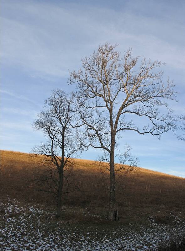 Rural PA, Jan. 2006